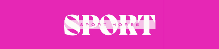 Sponsor